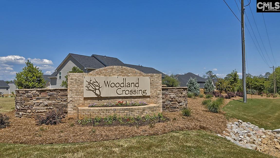 819 Trident Maple Lane Chapin, SC 29036 - Photo 45 of 46