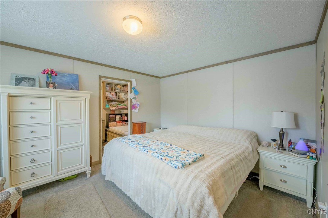 1557 Co Rte 7 Hannibal, NY 13126 - Photo 28 of 31