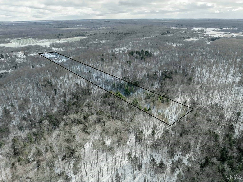 1557 Co Rte 7 Hannibal, NY 13126 - Photo 5 of 31