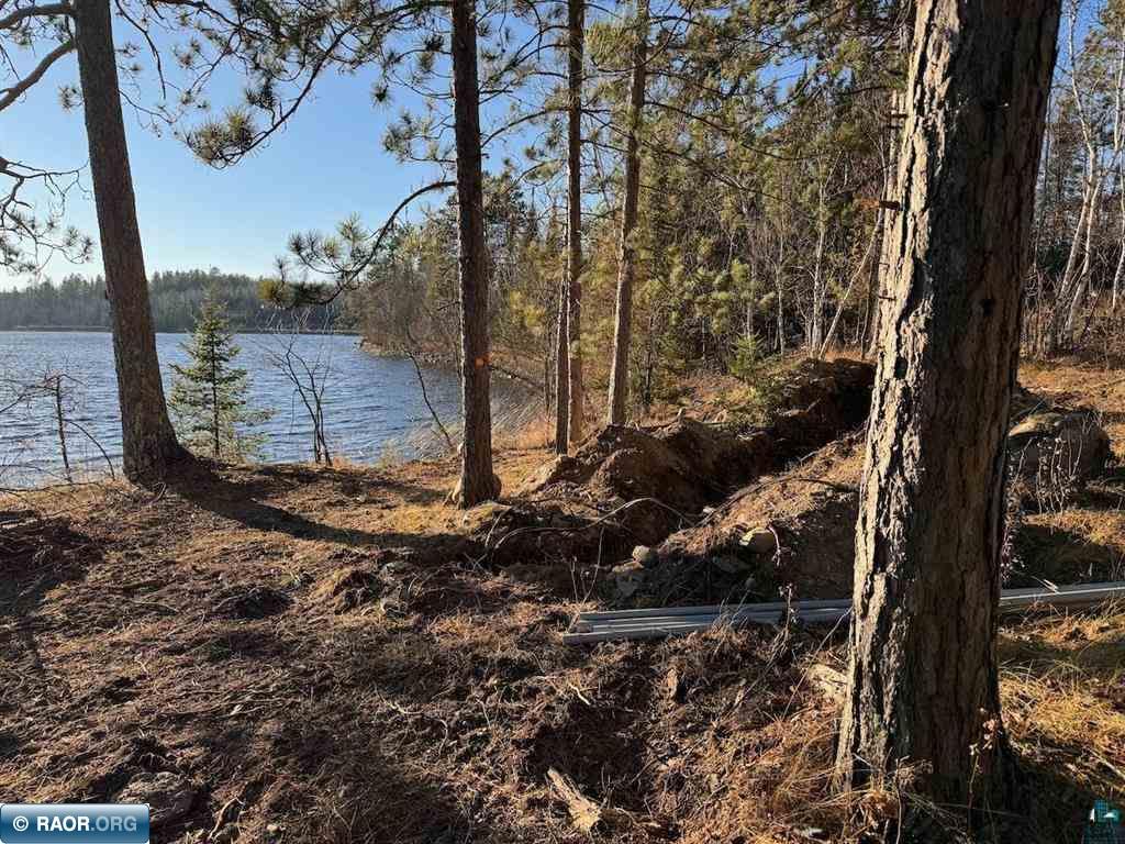 Parcel D Fectos Road Tower, MN 55790 - Photo 11 of 13