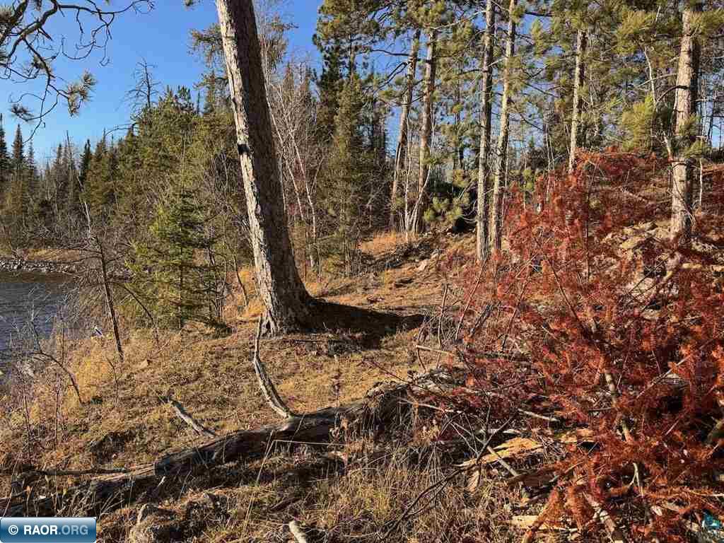 Parcel D Fectos Road Tower, MN 55790 - Photo 13 of 13