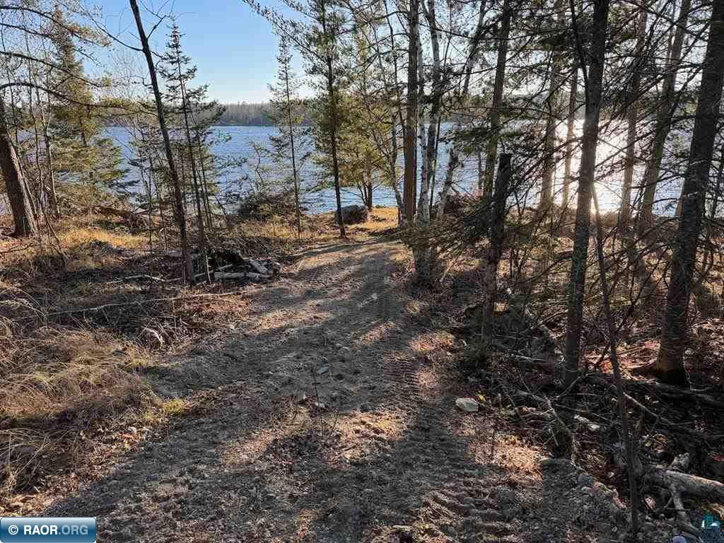 Parcel D Fectos Road Tower, MN 55790 - Photo 10 of 13