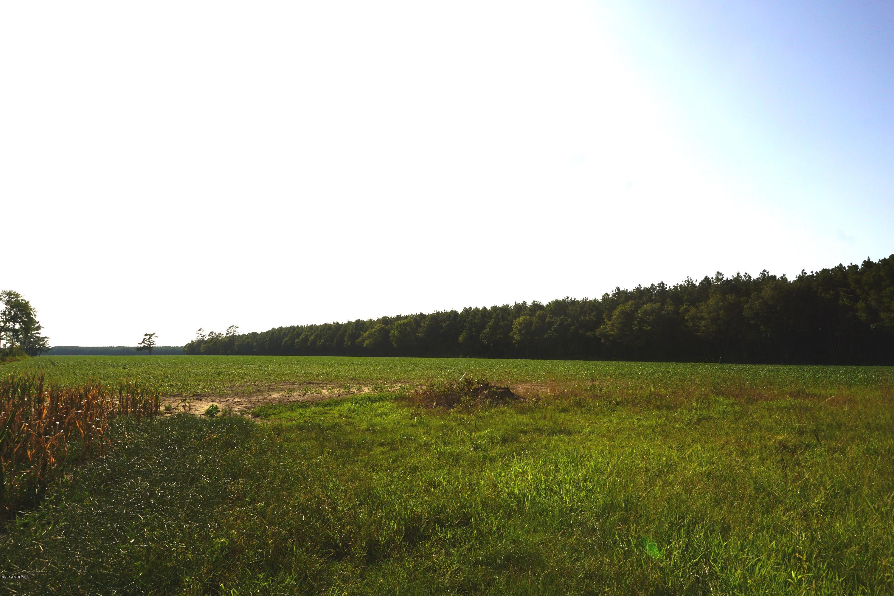 5 A Cedar Fork Road Beulaville, NC 28518 - Photo 1 of 3 FRONT VIEW