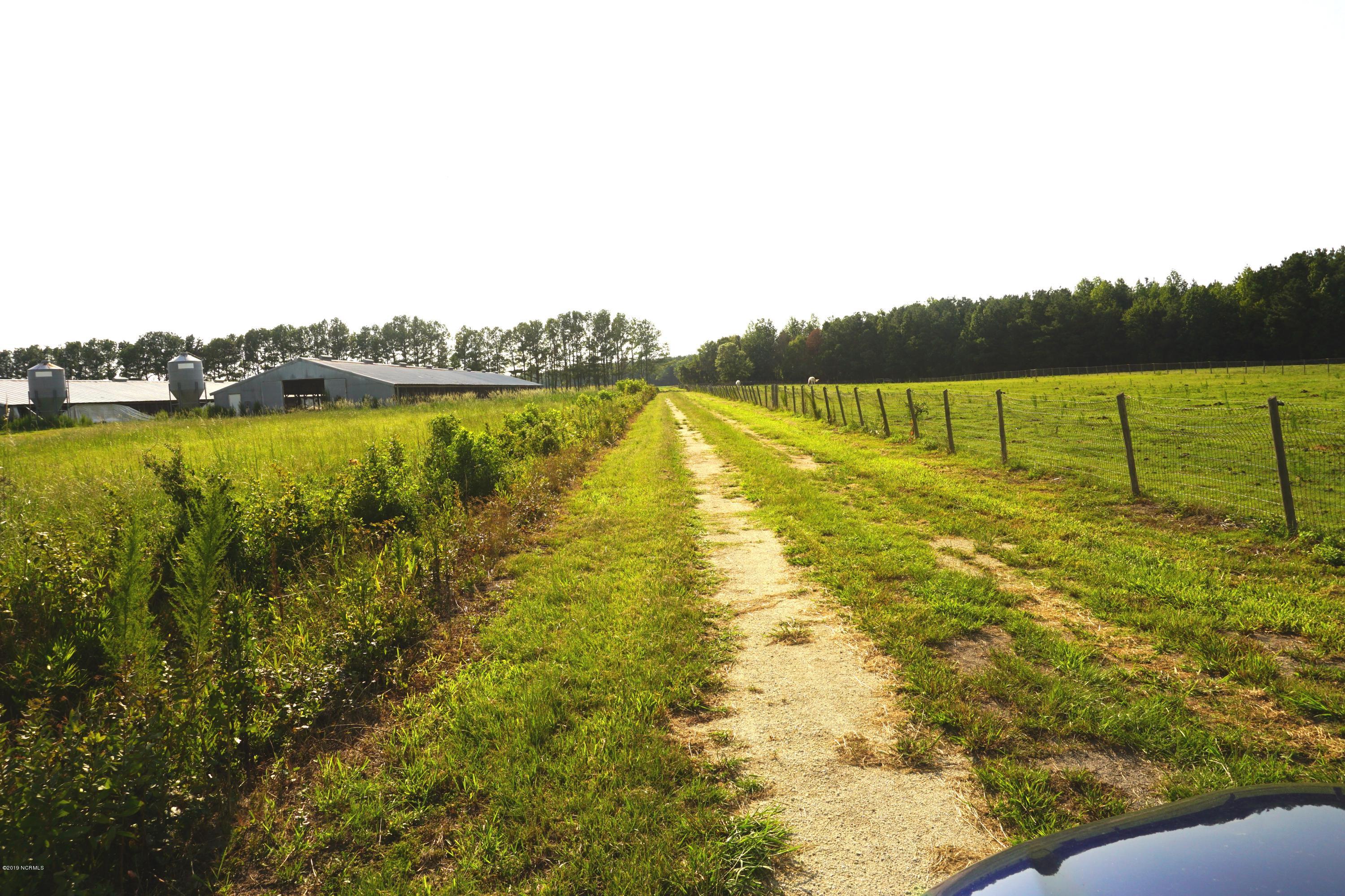 5 A Cedar Fork Road Beulaville, NC 28518 - Photo 3 of 3 DSC07088