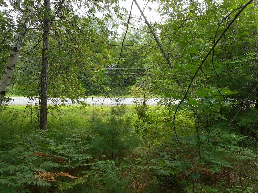 2 French Settlement Road Milford, ME 04461 - Photo 14 of 16 Photo