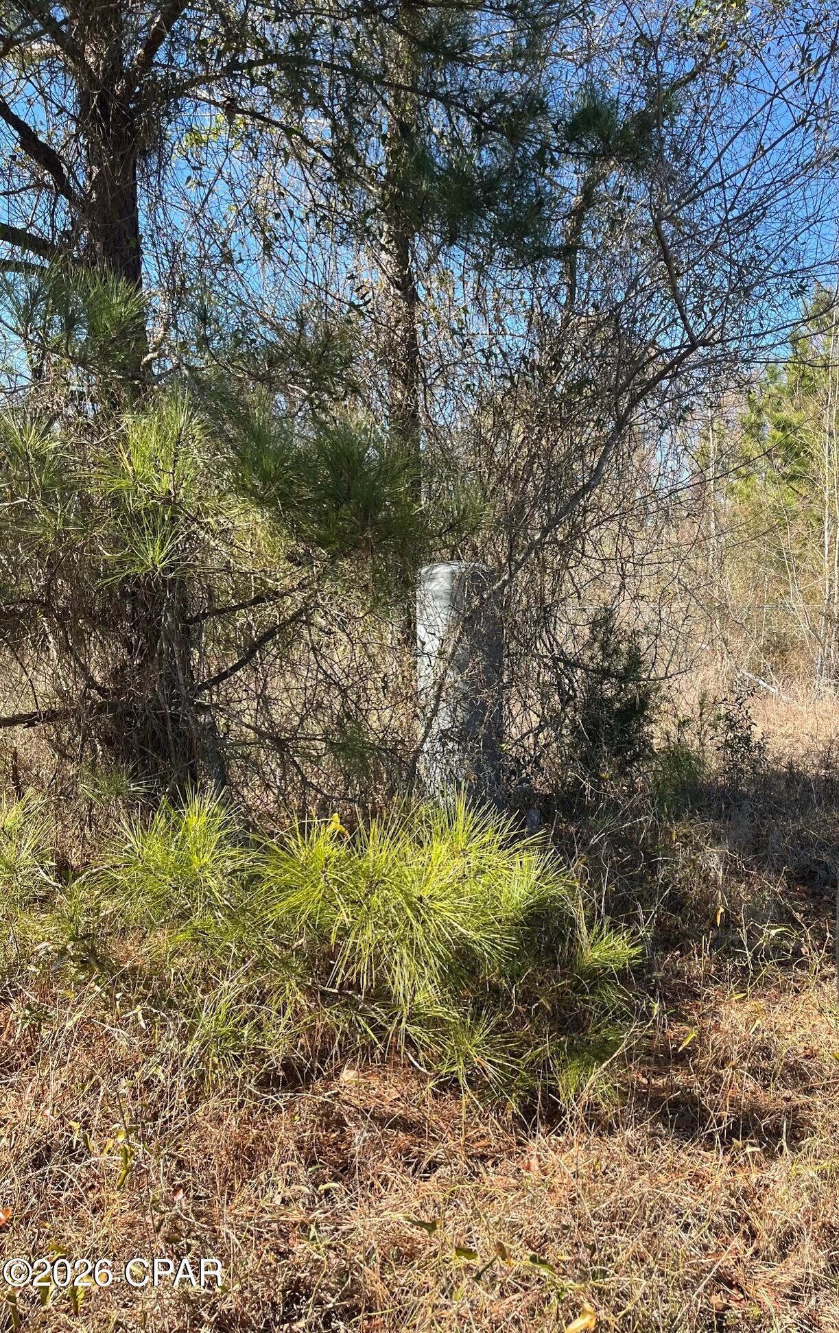 2889 Salem Church Road Sneads, FL 32460 - Photo 4 of 7