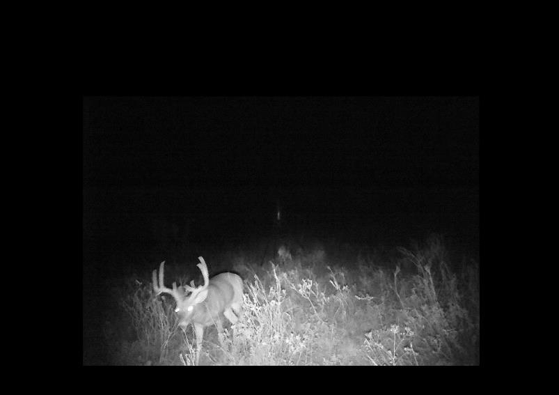 300 County Road 232 Rotan, TX 79546 - Photo 18 of 19