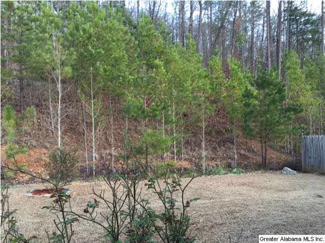 4120 Forest Lakes Road Sterrett, AL 35147 - Photo 28 of 30
