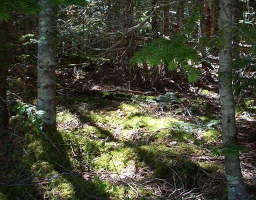 Lot 6 Look's Point Road Jonesboro, ME 04648 - Photo 4 of 4 Land/Lot.