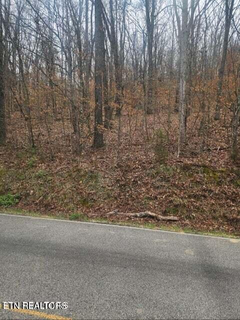 Ten Mile Tn 37880 Road Ten Mile, TN 37880 - Photo 6 of 7 20260223163727966666000000-o