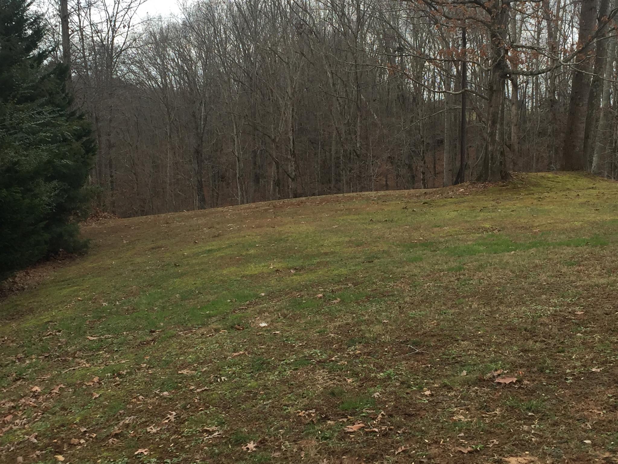 42 Williams Road Leoma, TN 38468 - Photo 3 of 22