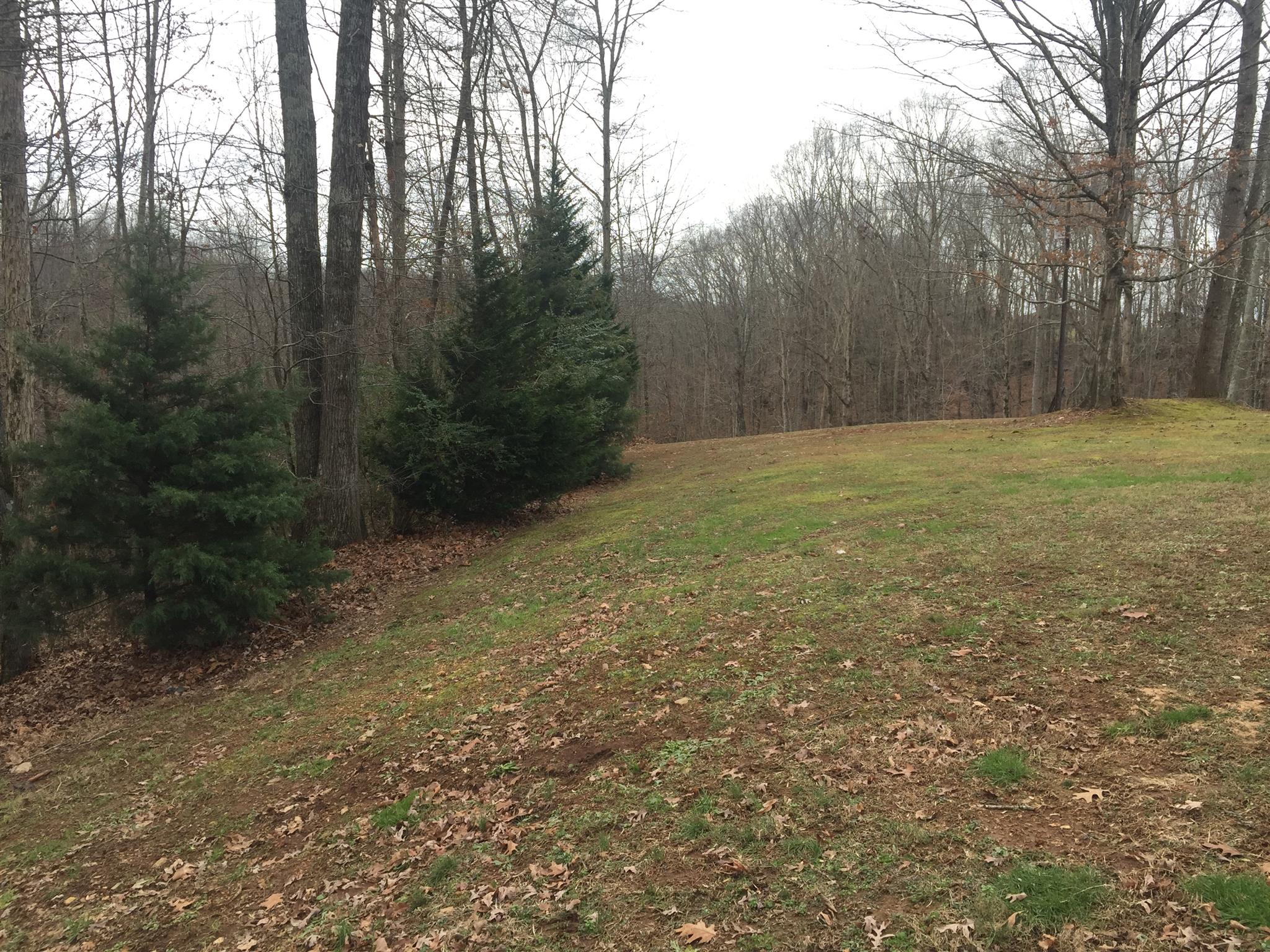 42 Williams Road Leoma, TN 38468 - Photo 4 of 22