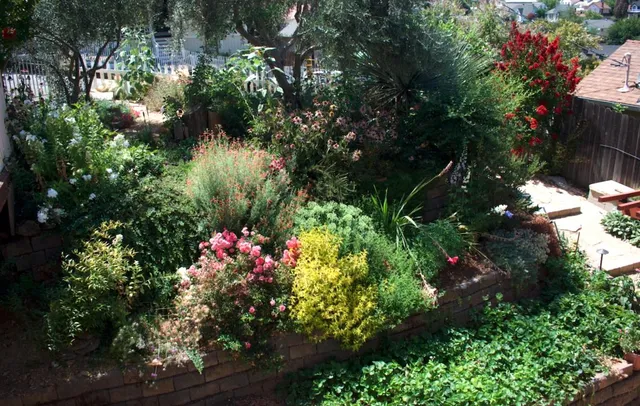 $535,000 | 126 Center Street, Jackson, CA 95642