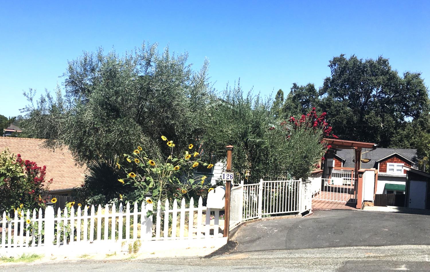 126 Center Street Jackson, CA 95642 - Photo 65 of 79 a view of a city street from a bench