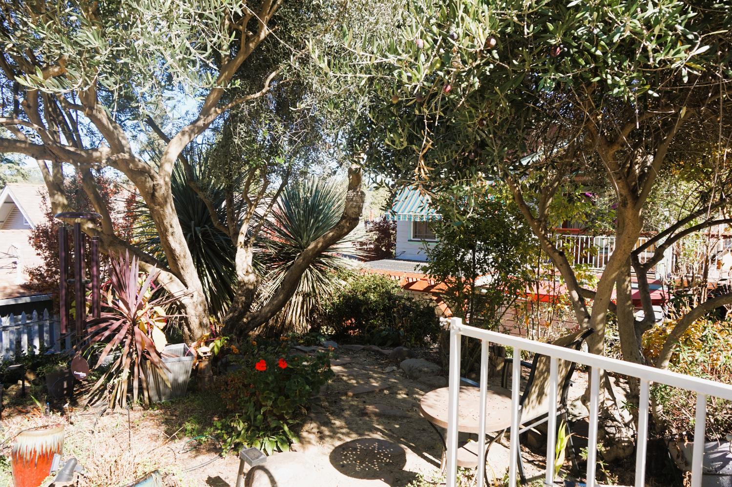 126 Center Street Jackson, CA 95642 - Photo 66 of 79 Upper garden level off parking area and street