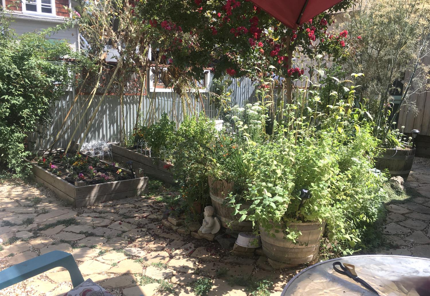 126 Center Street Jackson, CA 95642 - Photo 70 of 79 a view of a backyard of the house