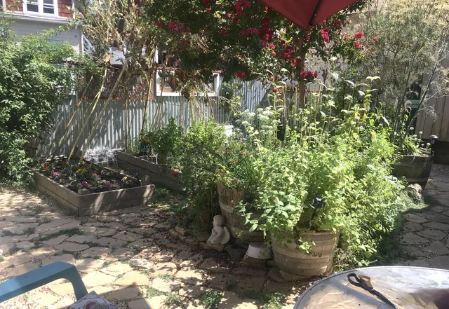 $535,000 | 126 Center Street, Jackson, CA 95642