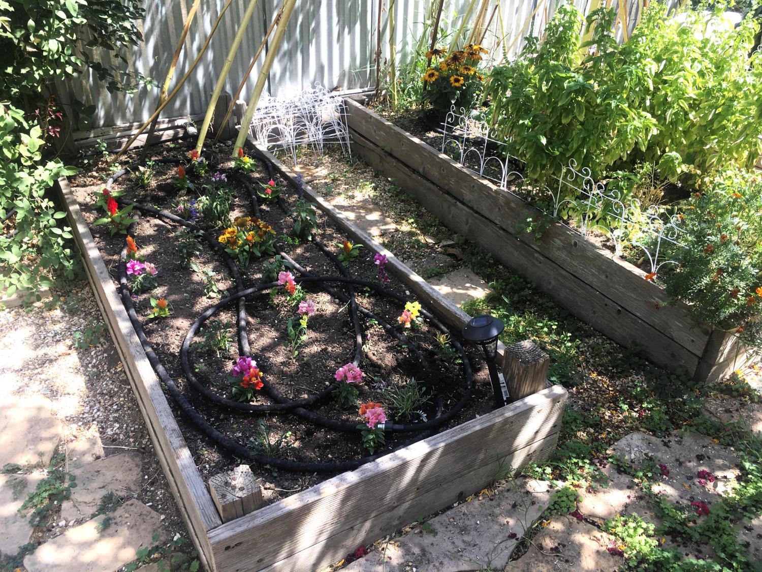 126 Center Street Jackson, CA 95642 - Photo 73 of 79 a view of flowers and flowers in a yard