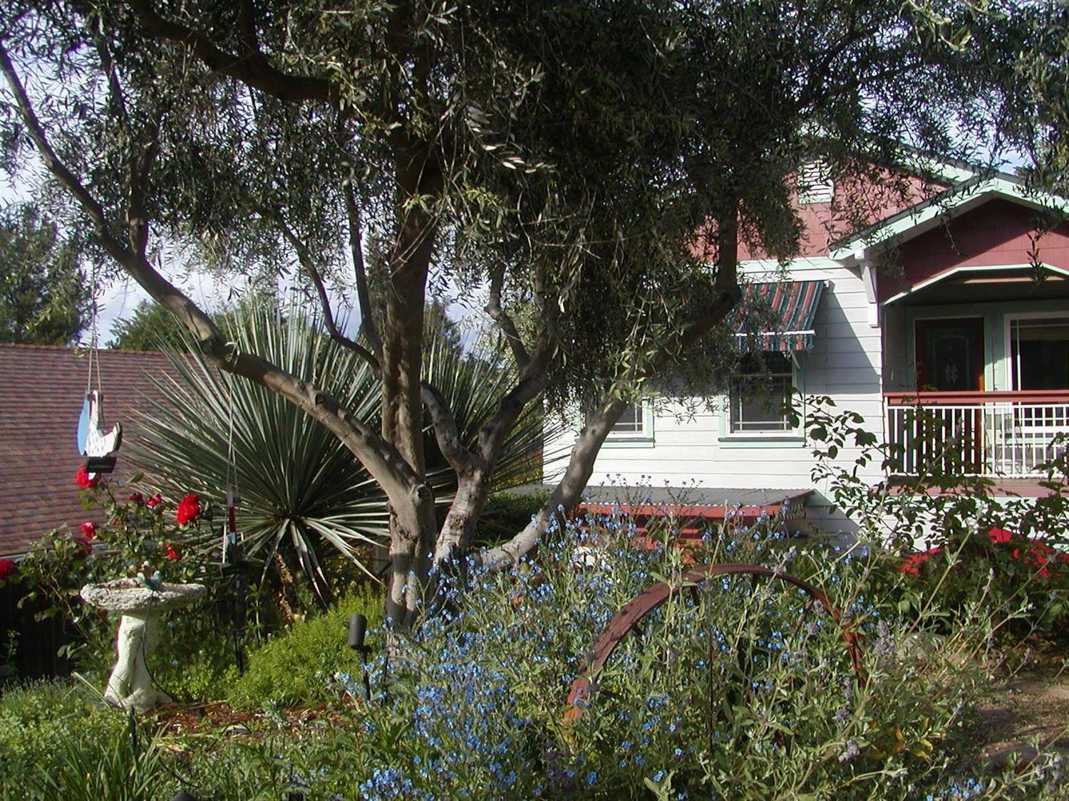 126 Center Street Jackson, CA 95642 - Photo 82 of 82 a view of a house with a yard and garden
