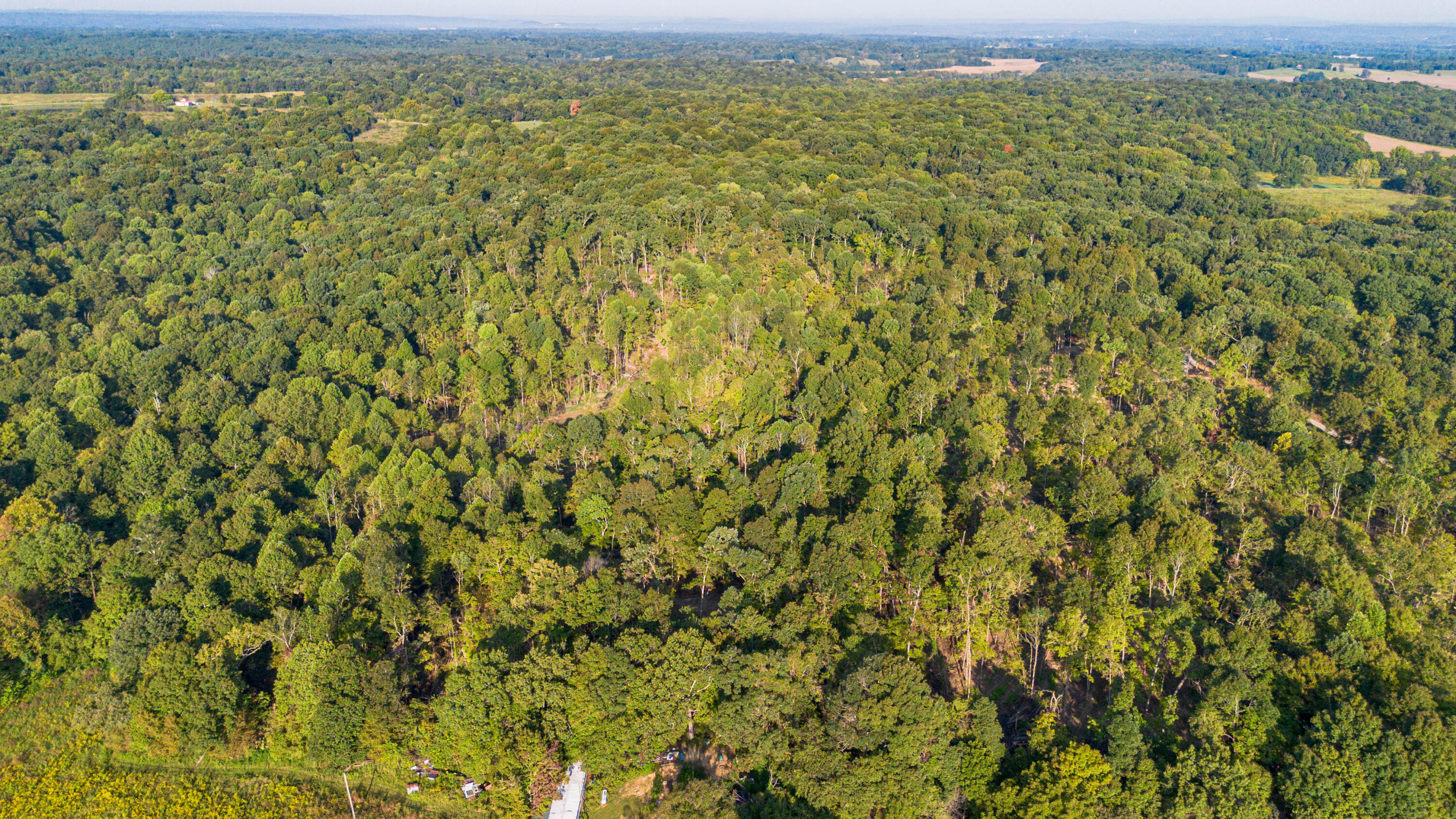 0 Irma White Road Marion, KY 42064 - Photo 4 of 15 DJI_0393