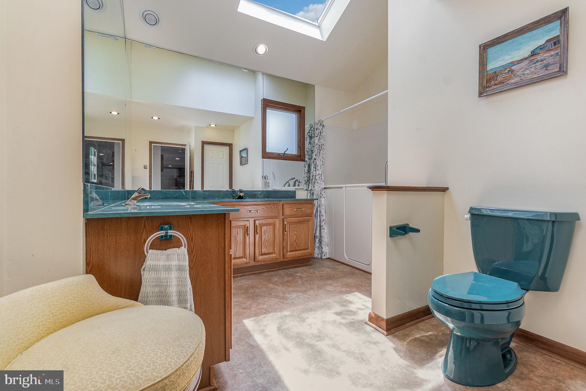 14111 Turners Point Road Kennedyville, MD 21645 - Photo 23 of 54 MAIN LEVEL FULL BATH WITH HANDICAP SHOWER