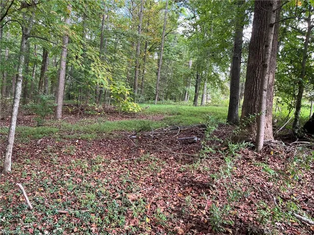 $350,000 | 0 Mae Kennedy Road, Thomasville, NC 27360
