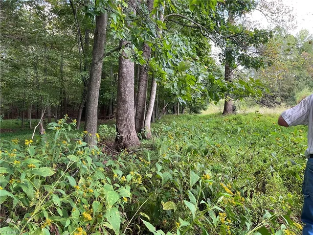 $350,000 | 0 Mae Kennedy Road, Thomasville, NC 27360