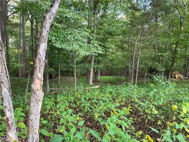 $350,000 | 0 Mae Kennedy Road, Thomasville, NC 27360