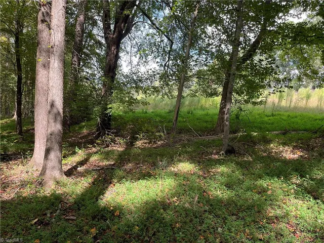 $350,000 | 0 Mae Kennedy Road, Thomasville, NC 27360