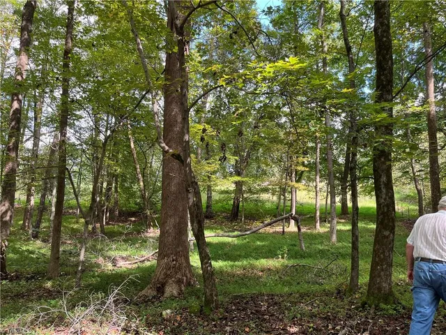$350,000 | 0 Mae Kennedy Road, Thomasville, NC 27360