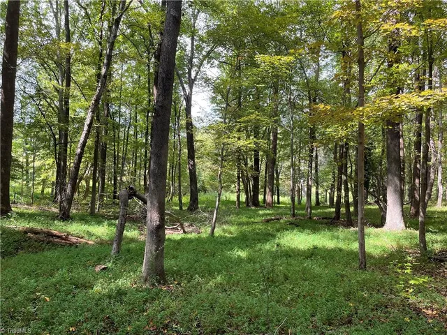 $350,000 | 0 Mae Kennedy Road, Thomasville, NC 27360