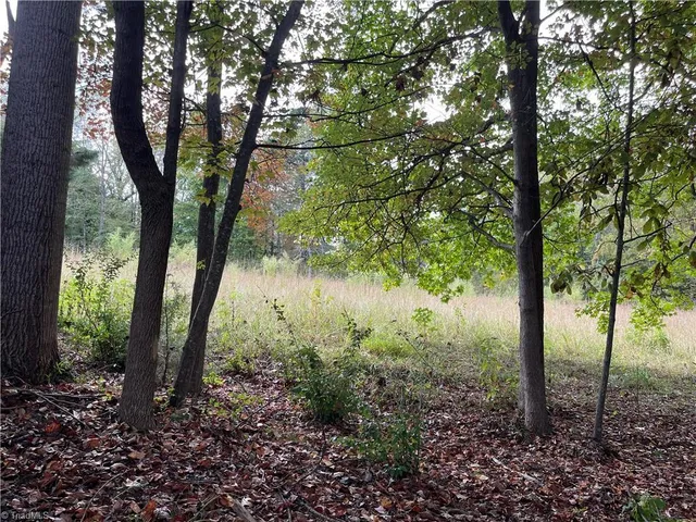 $350,000 | 0 Mae Kennedy Road, Thomasville, NC 27360