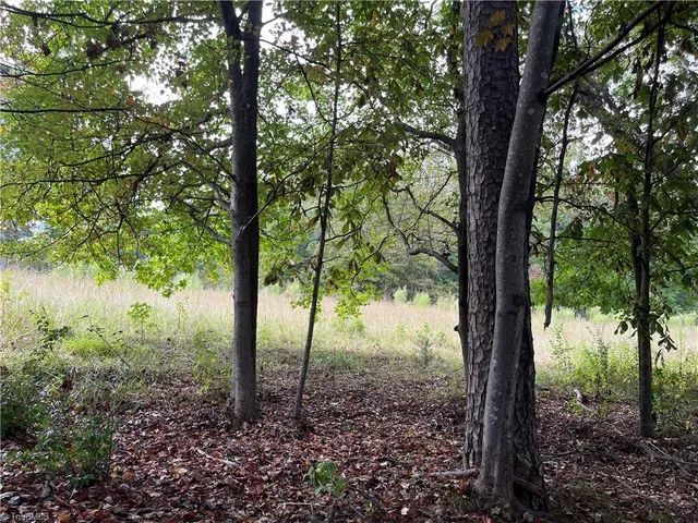 $350,000 | 0 Mae Kennedy Road, Thomasville, NC 27360