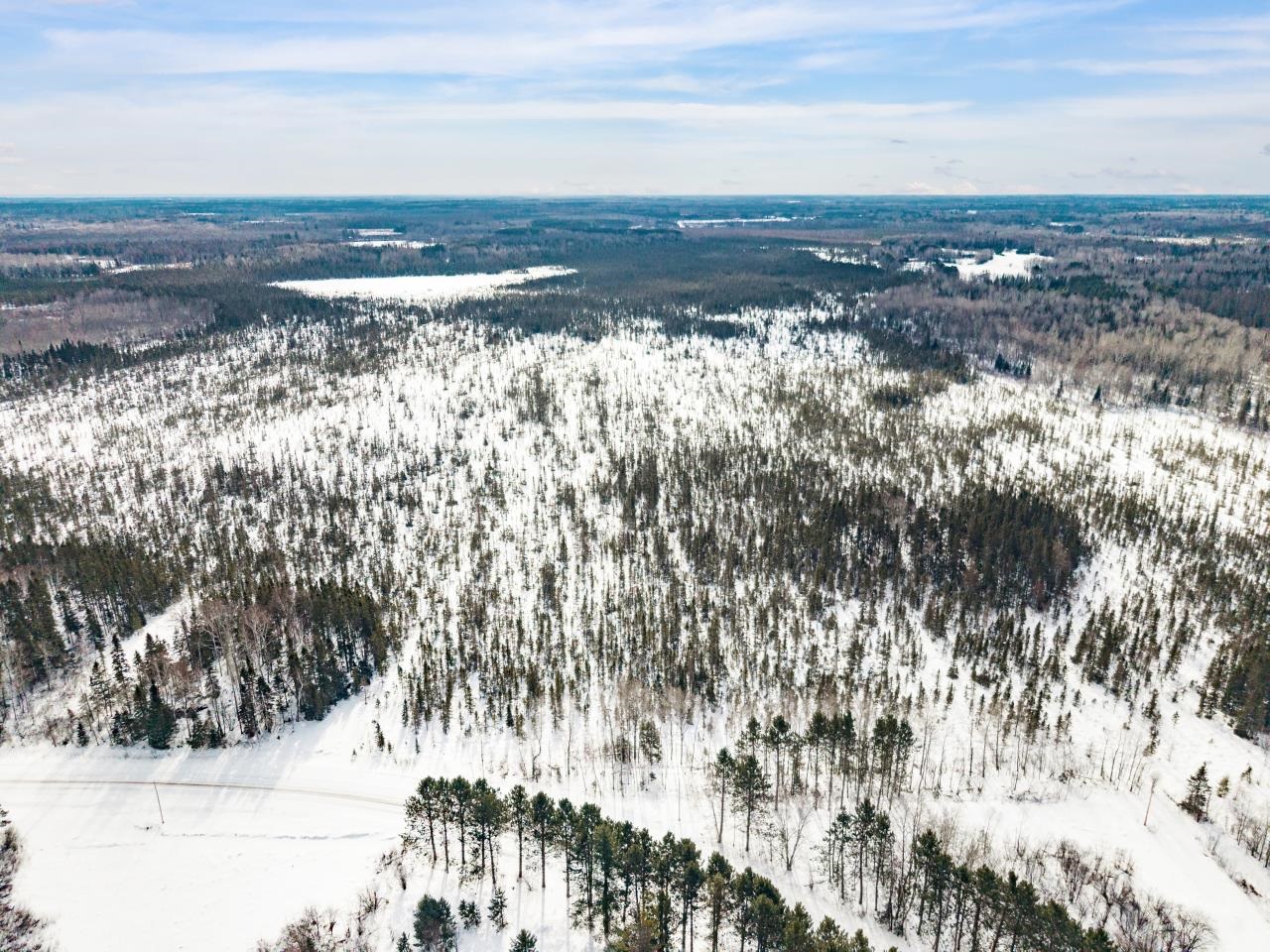 2712 Lund Road Cloquet, MN 55720 - Photo 9 of 24 Aerial view of a forest