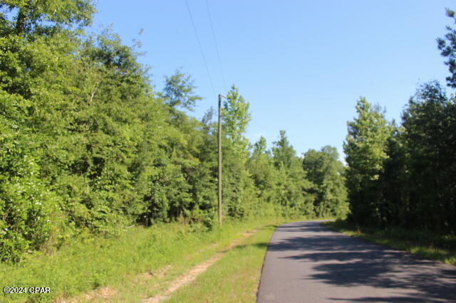 0 Sylvania Road Vernon, FL 32462 - Photo 2 of 8 Gallery Image 2