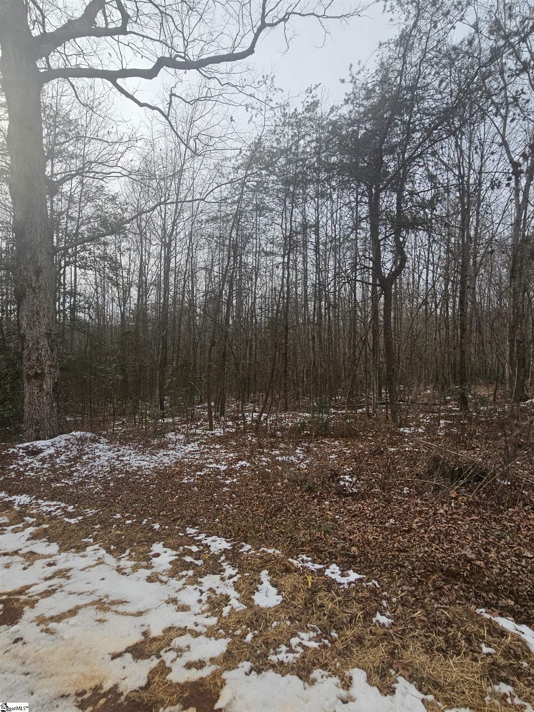 0 Chandler Road Easley, SC 29640 - Photo 2 of 10