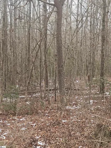 $225,000 | 0 Chandler Road, Easley, SC 29640