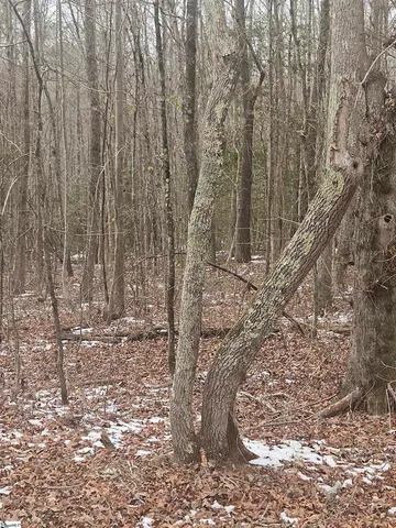 $225,000 | 0 Chandler Road, Easley, SC 29640