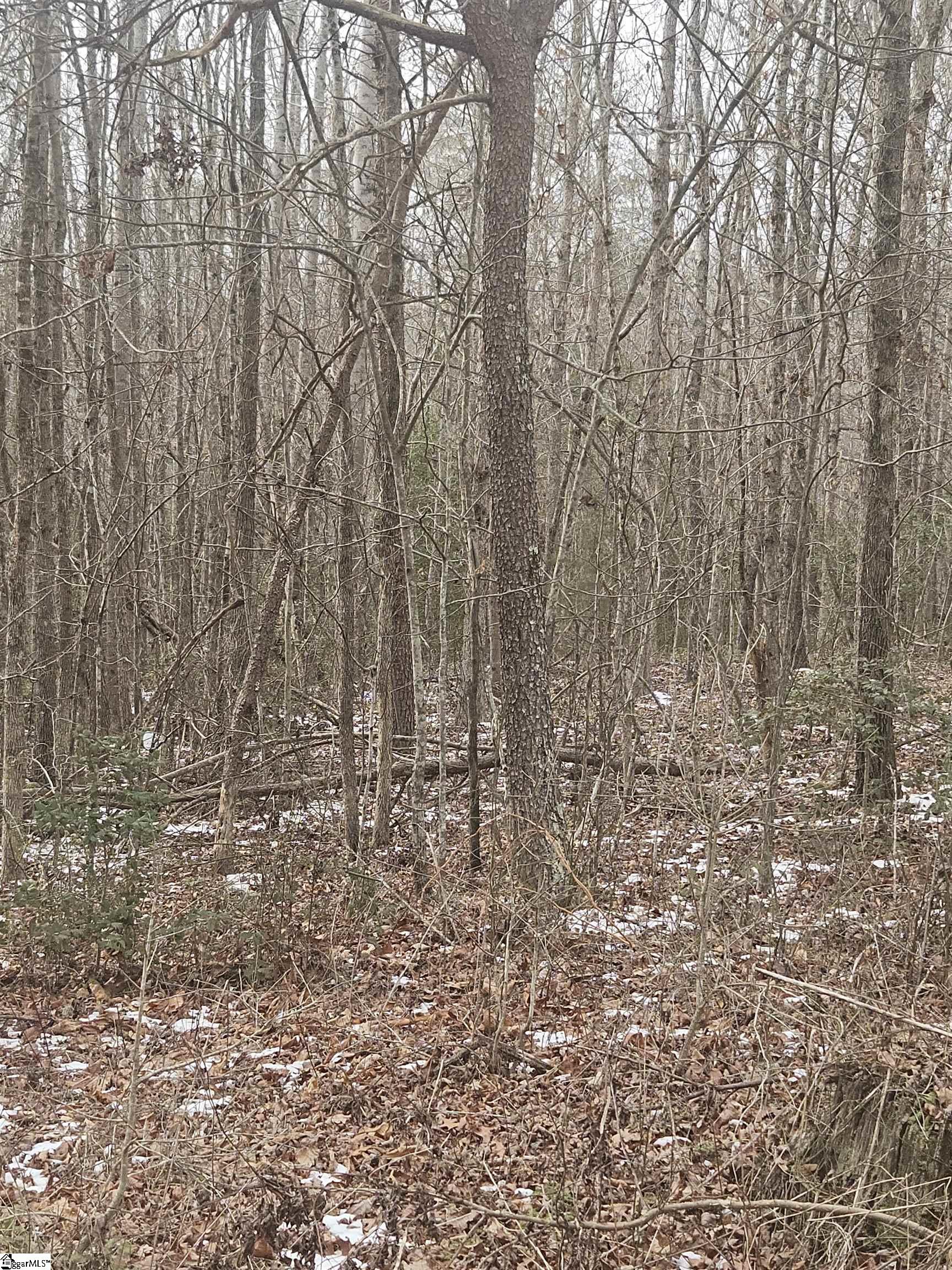 0 Chandler Road Easley, SC 29640 - Photo 3 of 10