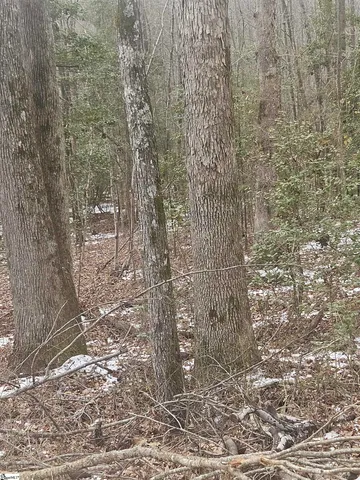 $225,000 | 0 Chandler Road, Easley, SC 29640