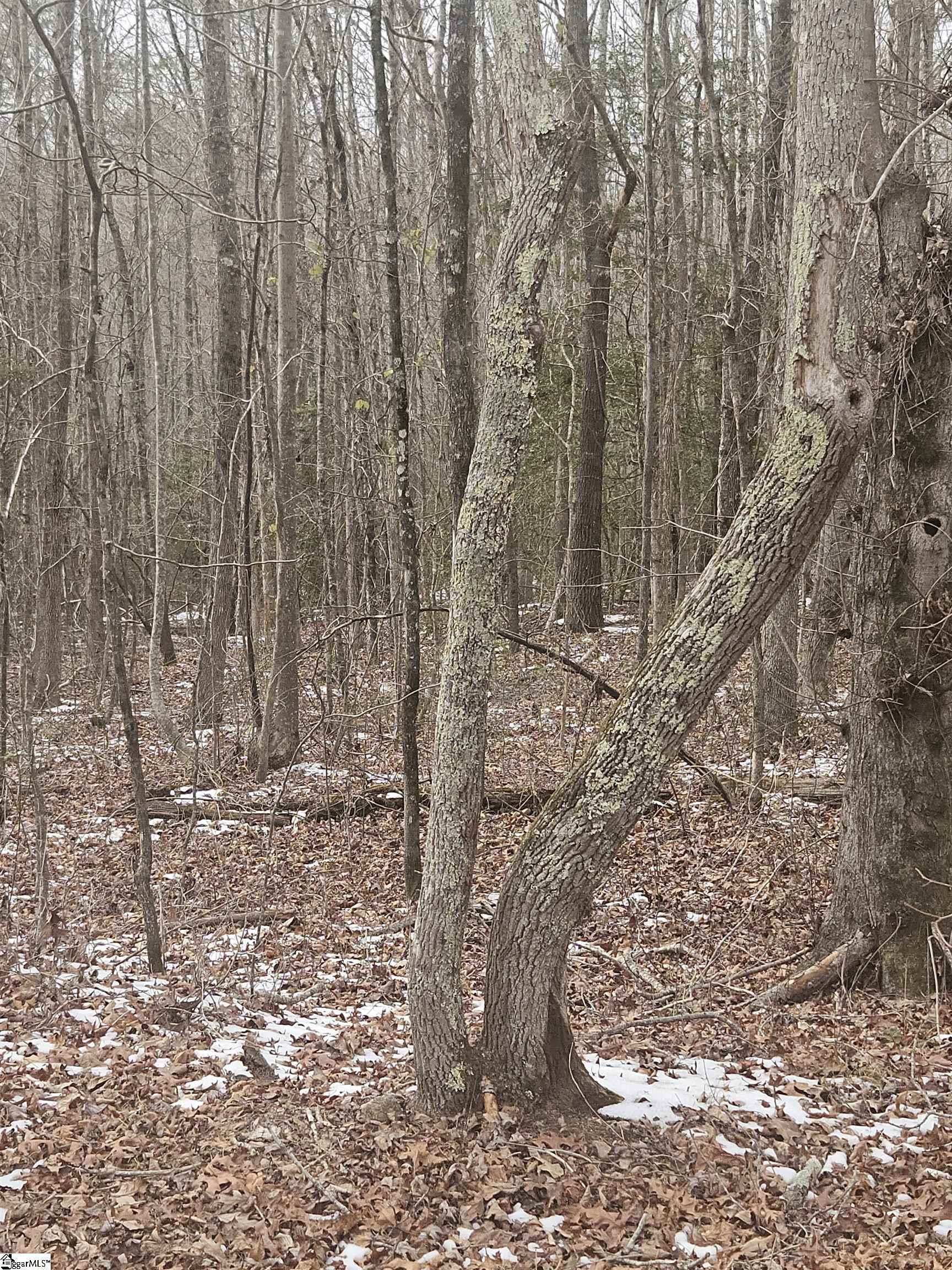 0 Chandler Road Easley, SC 29640 - Photo 4 of 10