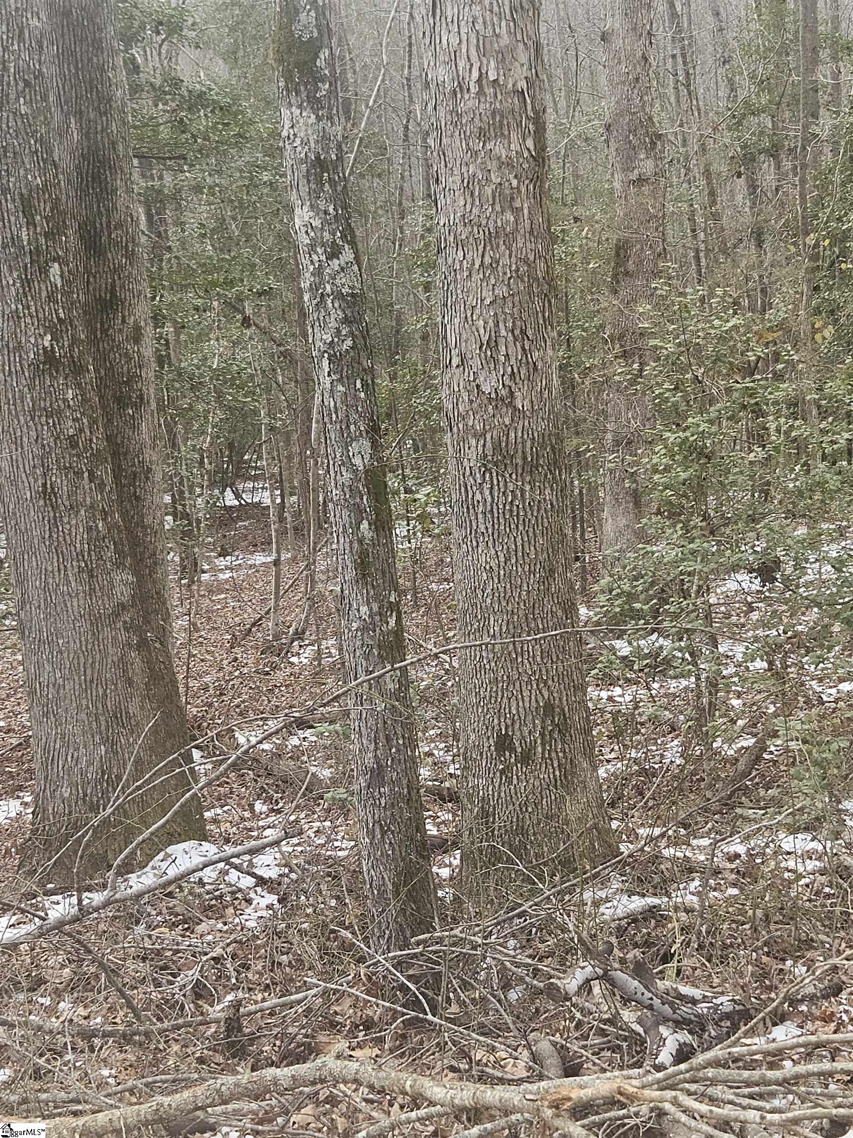 0 Chandler Road Easley, SC 29640 - Photo 5 of 10