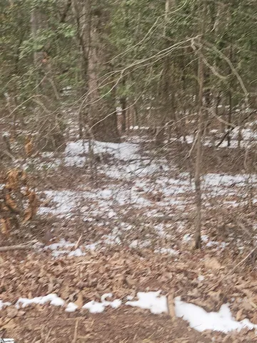 $225,000 | 0 Chandler Road, Easley, SC 29640