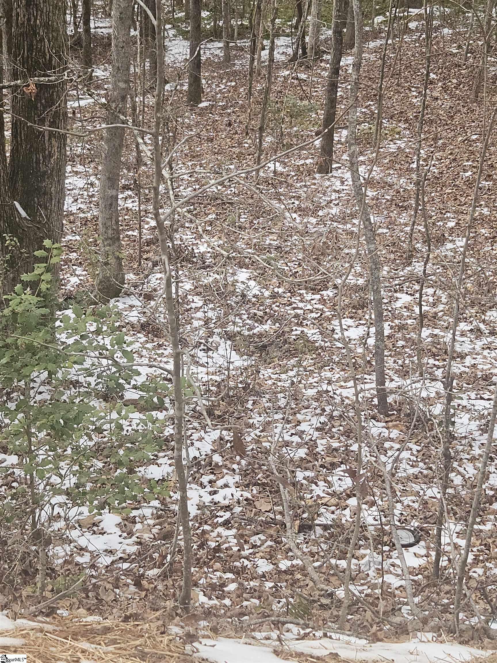 0 Chandler Road Easley, SC 29640 - Photo 6 of 10