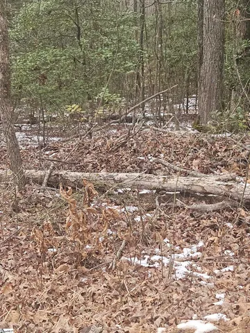 $225,000 | 0 Chandler Road, Easley, SC 29640