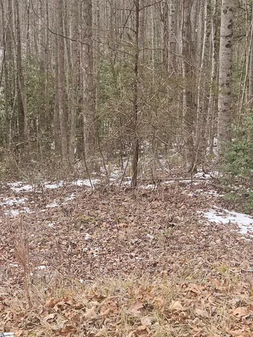 $225,000 | 0 Chandler Road, Easley, SC 29640