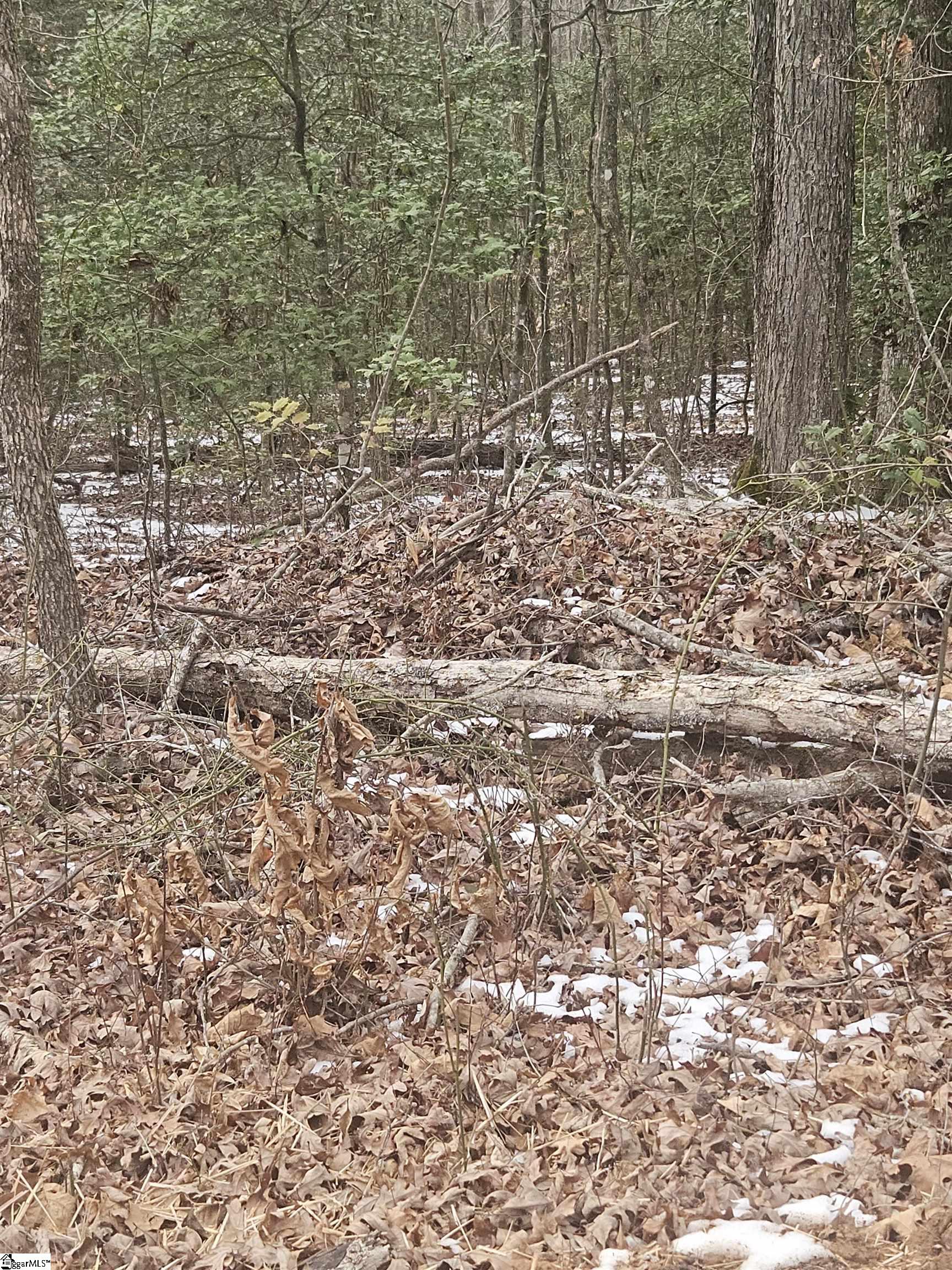 0 Chandler Road Easley, SC 29640 - Photo 8 of 10