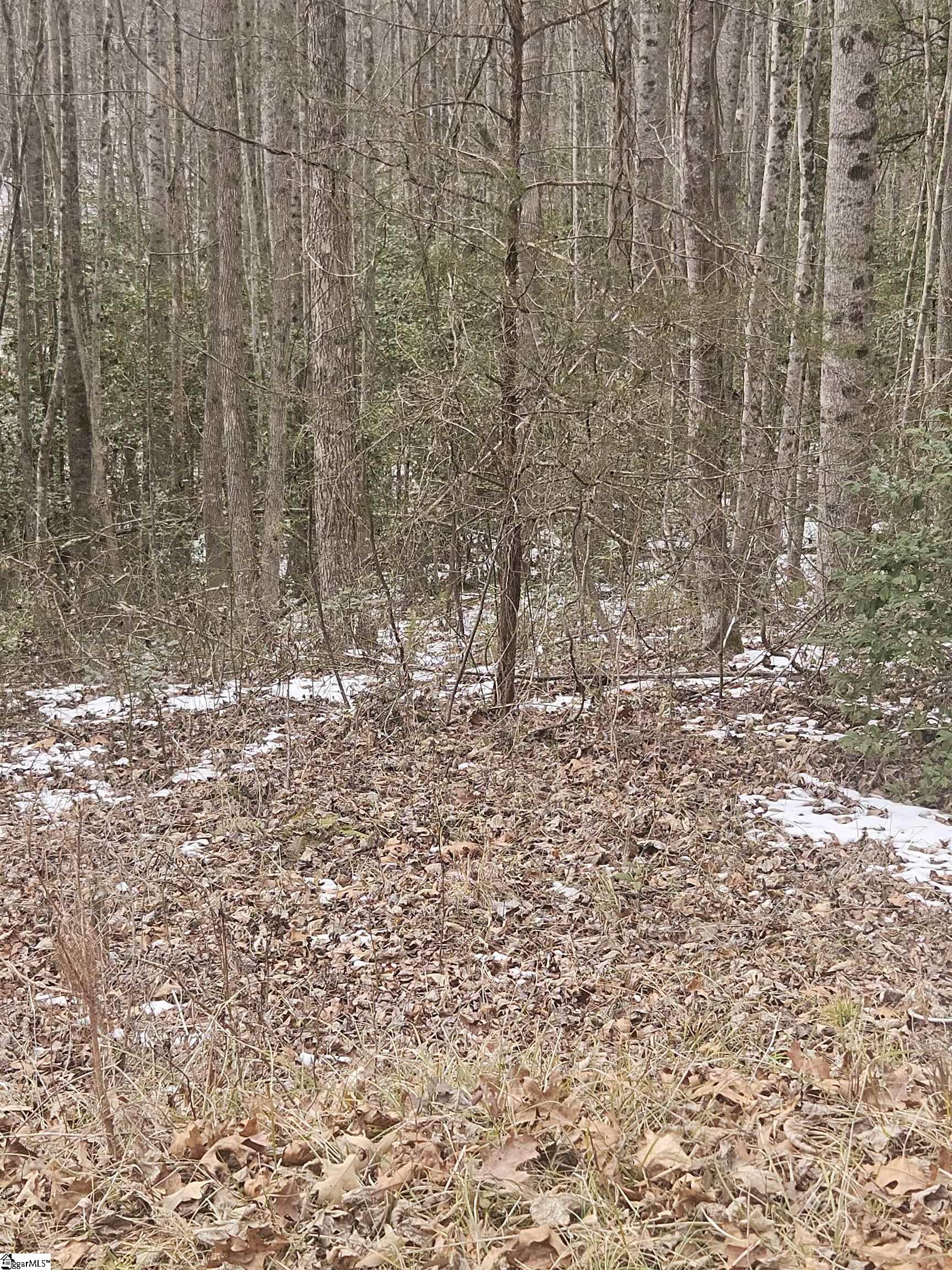 0 Chandler Road Easley, SC 29640 - Photo 9 of 10