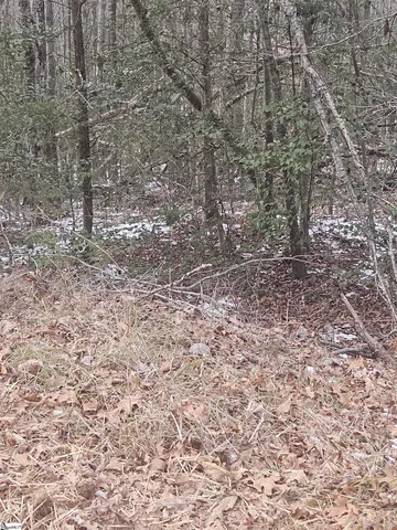 $225,000 | 0 Chandler Road, Easley, SC 29640