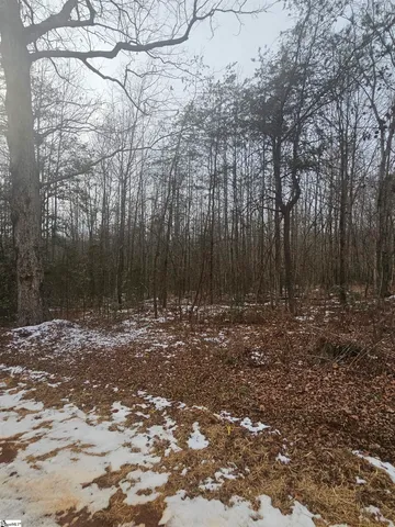 $225,000 | 0 Chandler Road, Easley, SC 29640